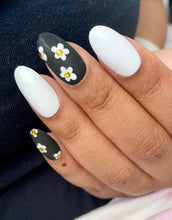 Load image into Gallery viewer, Black and White Daisies